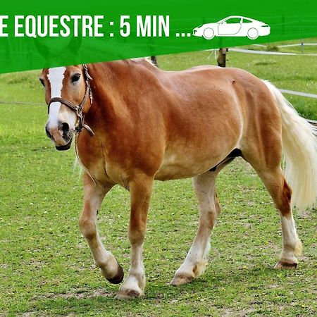 Le Cosy Fertois-Self Checkin-Centre-Ville La Ferté-sous-Jouarre 외부 사진