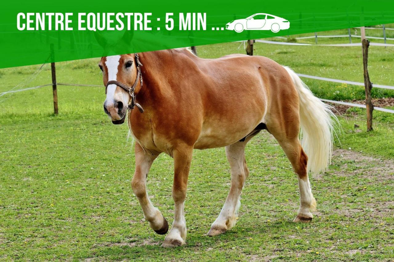 Le Cosy Fertois-Self Checkin-Centre-Ville La Ferté-sous-Jouarre 외부 사진